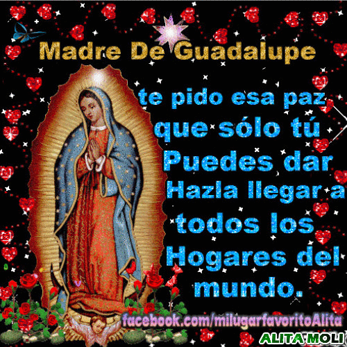 Imagenes Gif Con Oraciones A La Virgen De Guadalupe