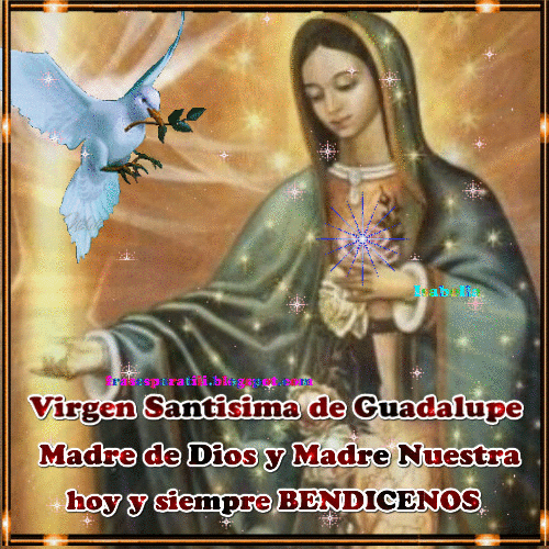 Oracion a la Virgencita de Guadalupe imagen gif